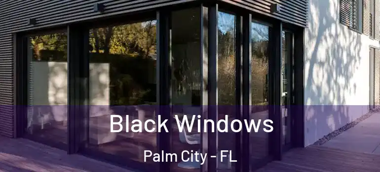  Black Windows Palm City - FL