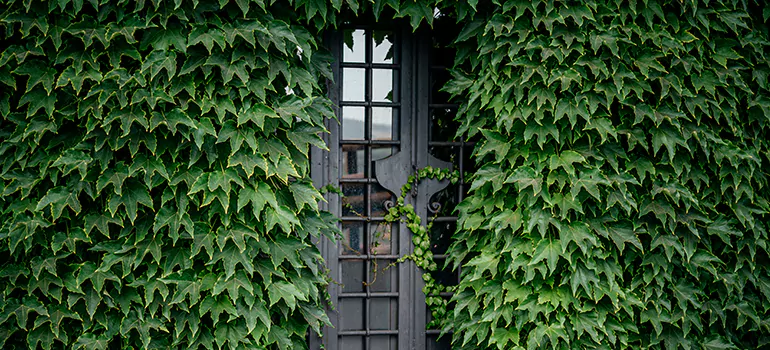 Garden Gate Repair in Palm City, FL