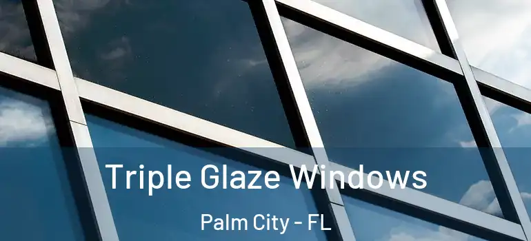  Triple Glaze Windows Palm City - FL