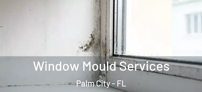  Window Mould Services Palm City - FL